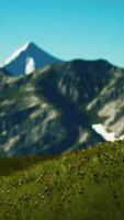 CGI panoramic view of alpine mountain landscape in the Alps video