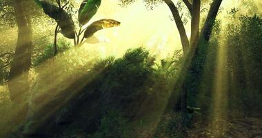 CGI Sunlight Through Trees video
