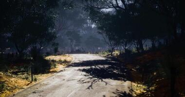 CGI of the road appears unpaved and is surrounded by dense trees and vegetation. video