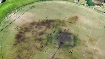 Drone captures an Australian football match on a grassy oval, with long shadows cast by players during sunset video