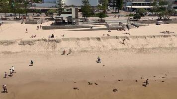 Drone captures people walking and exercising on Broadbeach, Gold Coast. Sunny day, clear skies, vibrant beach environment video