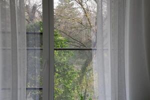 Window with sheer curtains revealing a serene view of green trees and nature outside, creating a peaceful atmosphere and inviting natural light into the indoor space photo