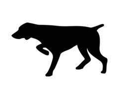 Pointer Hunting Dog silhouette, Pointer Hunting Dog illustration vector