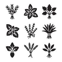 Clean Outline Herb Collection Icons Set vector