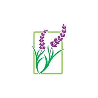 A purple flower with green leaves in a square frame vector