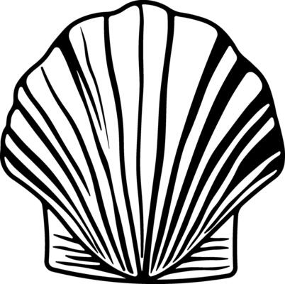 Black and white line art of a fan-shaped seashell in minimalistic style, isolated on white background, perfect for summer or marine-themed designs