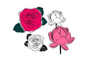 Rose and Lotus Flower Illustration Set with Hand Drawn Style for Floral Art Design Botanical Decoration and Romantic Nature Theme vector