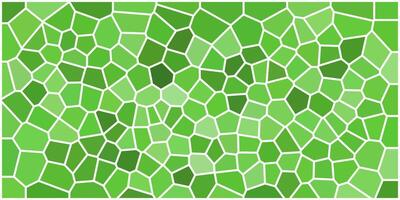An abstract green mosaic with organic, irregular polygons outlined in white, forming a fresh geometric texture that feels structured yet natural and visually rich. vector