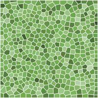 Abstract green mosaic pattern with irregular, cell-like shapes outlined in white, creating a stained glass texture effect. vector