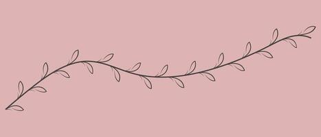 Hand drawn twig with leaves isolated on pink background. illustration. vector