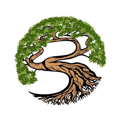 Oak Tree root. Oak Family Tree Leaf Banyan Maple vintage style Label Emblem Cap