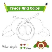 Handwriting Practice. Trace And Color The Velvet Apple Food Which Is Perfect. Illustration vector