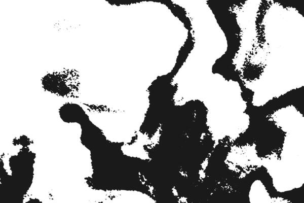 black and white abstract, painting with a white background