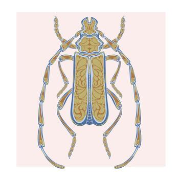 el escarabajo es mostrado en un estampado diseño vector