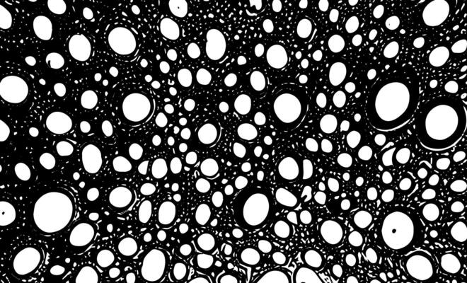 a black and white. image of circles