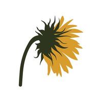 Back View of Sunflower Illustration, Minimal Floral Art vector