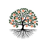 Fruitful Peach Tree with Roots Illustration vector