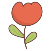 Red tulip flower with green leaves on transparent background png