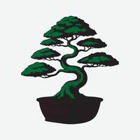 bonsai tree illustration vector