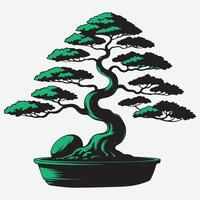 bonsai tree in a pot on a white background vector