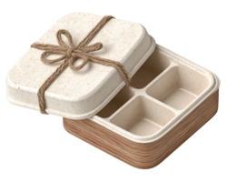 Eco-friendly food container with compartments and natural twine tie png