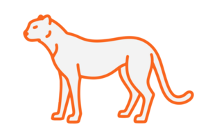 Minimalist Orange Outline of a Jaguar Standing on Transparent Background This image features png