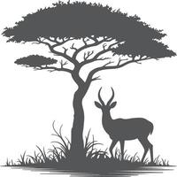 Gray Silhouette of an Antelope Gazelle Standing Near a Large Dark Gray Acacia Tree in Tall Grass a Simple Nature Scene vector