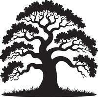Black Silhouette of a Large Deciduous Tree with Thick Trunk and Spreading Branches Set Against a White Background with Silhouetted Grass at the Base vector