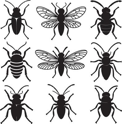 Black insect silhouettes with detailed wings and segmented bodies white