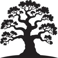 Black Silhouette of a Large Old Tree with Many Branches and Lush Foliage Isolated on White Background Detailed illustration of a majestic tree vector