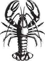 Black and White Detailed Silhouette of a Lobster Viewed from Above Showing Claws Legs and Tail vector