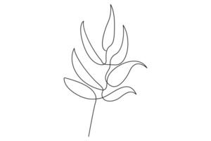 Continuous one line illustration of botanical leaves in minimal linear outline style for nature theme vector