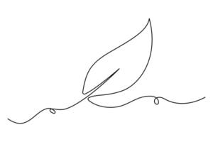 Continuous single line drawing of a leaf in minimal style for eco branding and wellness theme vector