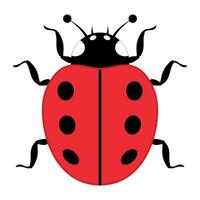 Cute Red Ladybug with Black Spots and Antennae Illustration. A bright red shell with six bold black spots, curly black legs, and two curved antennae with round tips. vector