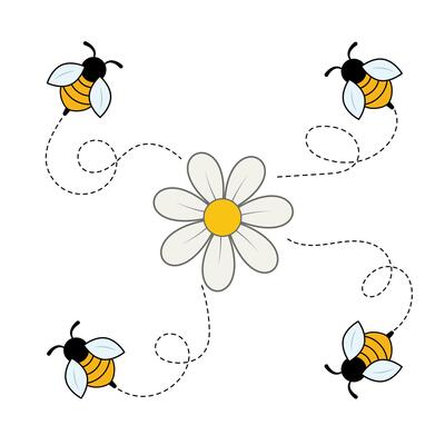 Bees Flying Around a Daisy Flower Illustration. This charming illustration features four adorable bees buzzing playfully around a single daisy flower at the center.