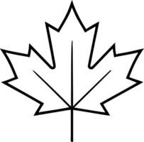 Black and White Maple Leaf Outline on White Background vector
