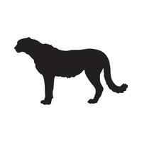 Black silhouette of a cheetah standing alert isolated on white background silhouette vector