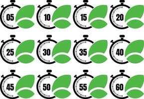 a set of green leafs with a stopwatch and a clock vector