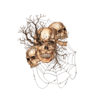 Human skulls three with dry tree branches and cobwebs watercolor illustration. Bones in gothic style. Day of the dead, Halloween, Dia de los muertos. Isolated from background. Symbolism png