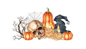 Skull with pumpkins, candles, spider web, dried flowers and witch hat watercolor illustration. Isolated on background for Halloween and Day of the Dead. For dark magic decor, gothic poster, horror. png