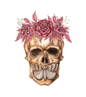 Skull with dark red roses, buds, dried flowers and a moth watercolor illustration. Bones in gothic style. Day of the Dead, Halloween, Dia de los muertos. Isolated from the background. Symbolism. png