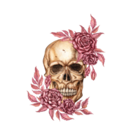 Human skull realistic front with dark red roses and buds watercolor illustration. Bones in gothic style. Day of the dead, Halloween, Dia de los muertos. Isolated from background. Symbolism png