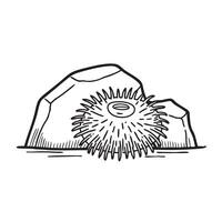 A dark sea urchin settled next to a stone underwater vector