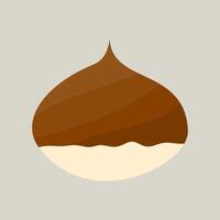 Chestnut illustration with autumn vibe vector