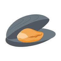 oyster seafood shellfish, oyster shells seafood vector