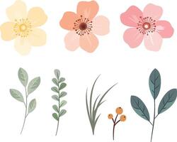 Charming Wildflower Elements for Decorative Use vector