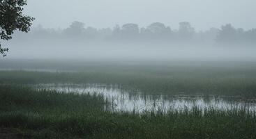 Misty morning landscape over water photo