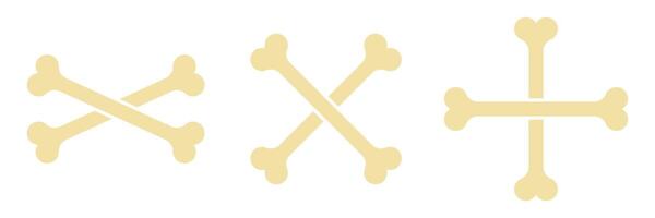 Illustration of three bone designs, two versions of crossed bones that make the letter X and a cross-shaped arrangement. All bones are light beige and on a white background. vector