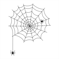 spider web for halloween background. scary spider web design png