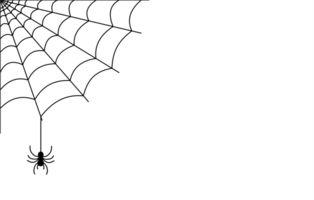 spider and web for halloween design banner element png